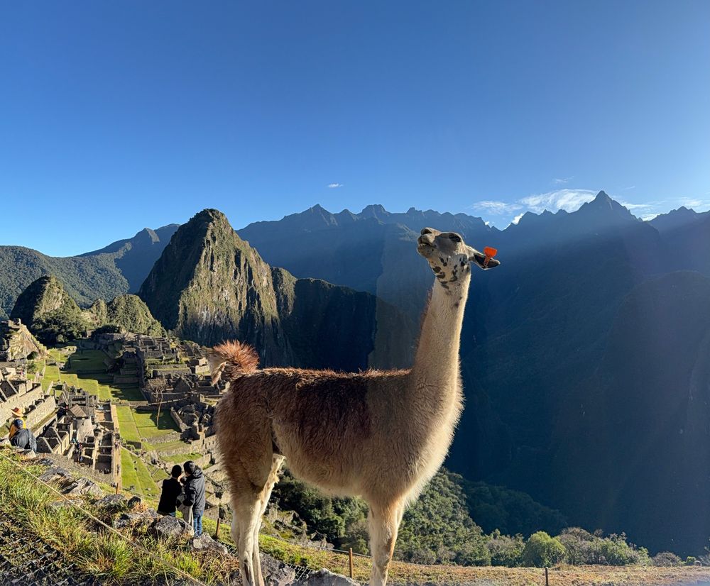 Machu Picchu
